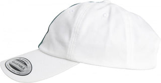 Flexfit Dad Cap 6245DS Low Profile Stripe