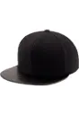 Carbon Snapback