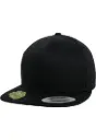 Organic Cotton Snapback